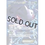 〔状態C〕ゲノセクトEX【SR】{078/076}