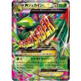 〔状態A-〕MジュカインEX【-】{007/131}