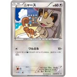 ニャース【P】{250/XY-P}