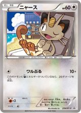 ニャース【P】{250/XY-P}