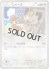〔状態C〕ニャース【P】{250/XY-P}