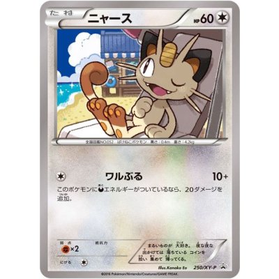 〔状態B〕ニャース【P】{250/XY-P}
