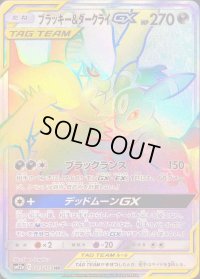 〔状態C〕ブラッキー＆ダークライGX【HR】{215/173}
