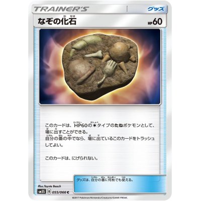 画像1: なぞの化石【C】{055/066}