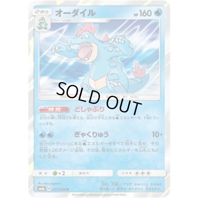 画像1: オーダイル【R】{017/066}