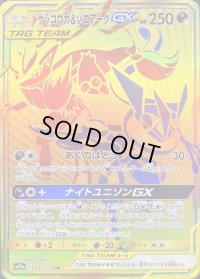 〔状態B〕ゲッコウガ＆ゾロアークGX【UR】{223/173}