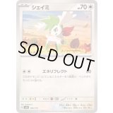 シェイミ【-】{105/175}