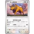 ケンタロス【U】{128/165}