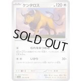 ケンタロス【U】{128/165}