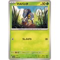 マメバッタ【-】{013/175}