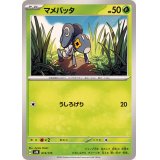 マメバッタ【-】{013/175}
