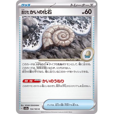 画像1: 古びたかいの化石【C】{154/165}