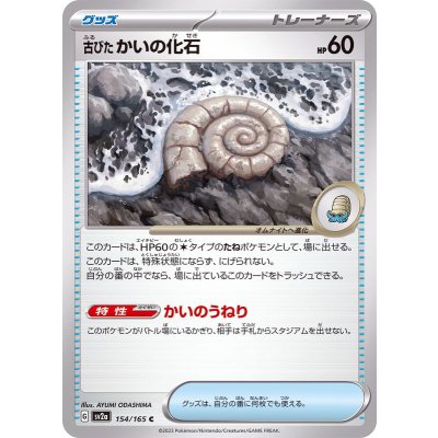 古びたかいの化石【C】{154/165}