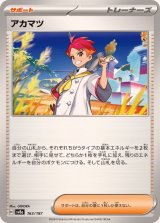 ☆SALE☆アカマツ【-】{163/187}