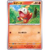 ホゲータ【C】{017/073}