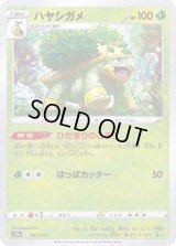 〔状態A-〕ハヤシガメ(ミラー/ハイクラスパック仕様)【-】{007/172}