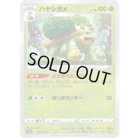 〔状態A-〕ハヤシガメ(ミラー/ハイクラスパック仕様)【-】{007/172}