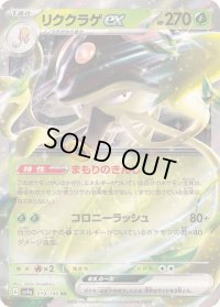 〔状態B〕リククラゲex【RR】{019/190}