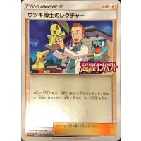 〔状態B〕ウツギ博士のレクチャー【P】{250/SM-P}