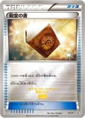 〔状態A-〕殿堂の書【P】{XY-P}