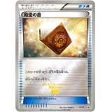 〔状態A-〕殿堂の書【P】{XY-P}