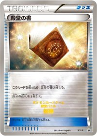 〔状態A-〕殿堂の書【P】{XY-P}