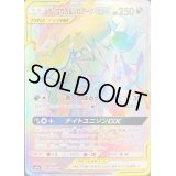 〔状態B〕ゲッコウガ＆ゾロアークGX【HR】{066/055}