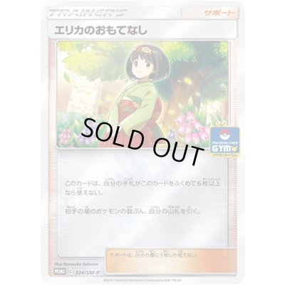 画像1: 〔状態B〕エリカのおもてなし【P】{324/SM-P}