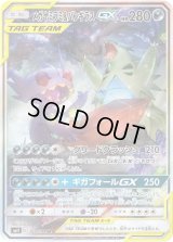 メガヤミラミ＆バンギラスGX(SA)【SR】{102/094}