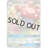 〔状態B〕ラフレシアGX(SA)【SR】{062/049}
