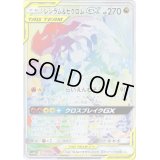 〔状態B〕レシラム＆ゼクロムGX(SA)【HR】{071/049}