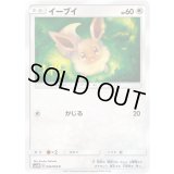 〔状態A-〕イーブイ【-】{046/066}