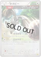 〔状態B〕ホルビー(XY5)【C】{059/070}