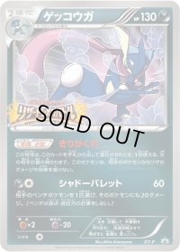 〔状態B〕ゲッコウガ(リザードンメガバトル)【P】{XY-P}