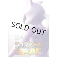 〔状態A-〕ミュウツーの逆襲 EVOLUTION パンフレット(カード付)【書籍】{-}