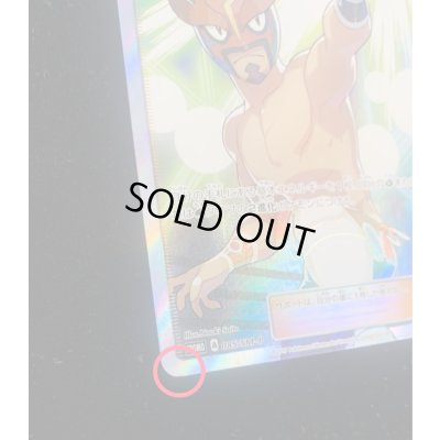 画像8: 〔状態B〕ロイヤルマスク(SR仕様)【P】{085/SM-P}