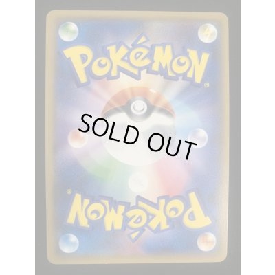 画像3: 〔状態B〕ロイヤルマスク(SR仕様)【P】{085/SM-P}