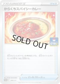 〔状態A-〕からくちスパイシーカレー【P】{240/S-P}