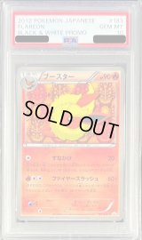 〔PSA10鑑定済〕ブースター【P】{183/BW-P}