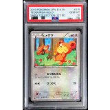 〔PSA10鑑定済〕ヒメグマ【C】{015/020}