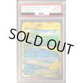 〔PSA10鑑定済〕せせらぎの丘【UR】{118/095}