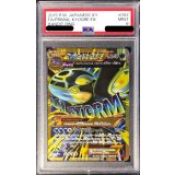 〔PSA9鑑定済〕ゲンシカイオーガEX【UR】{093/081}