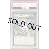〔PSA10鑑定済〕オオスバメ【R】{058/078}