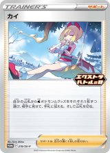 〔状態A-〕カイ【P】{219/SV-P}