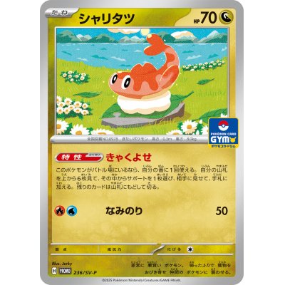 画像1: シャリタツ【P】{236/SV-P}
