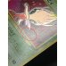 画像12: 〔状態A-〕ひかるセレビィ【-】{旧裏}