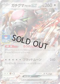 ガチグマアカツキex【P】{258/SV-P}