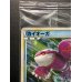 画像4: 〔状態A-〕カイオーガ(未開封/伝説ポケモンプレゼントキャンペーン)【P】{071/L-P}
