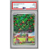 〔PSA10鑑定済〕カジッチュ【AR】{077/066}