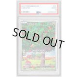 〔PSA10鑑定済〕カジッチュ【AR】{077/066}